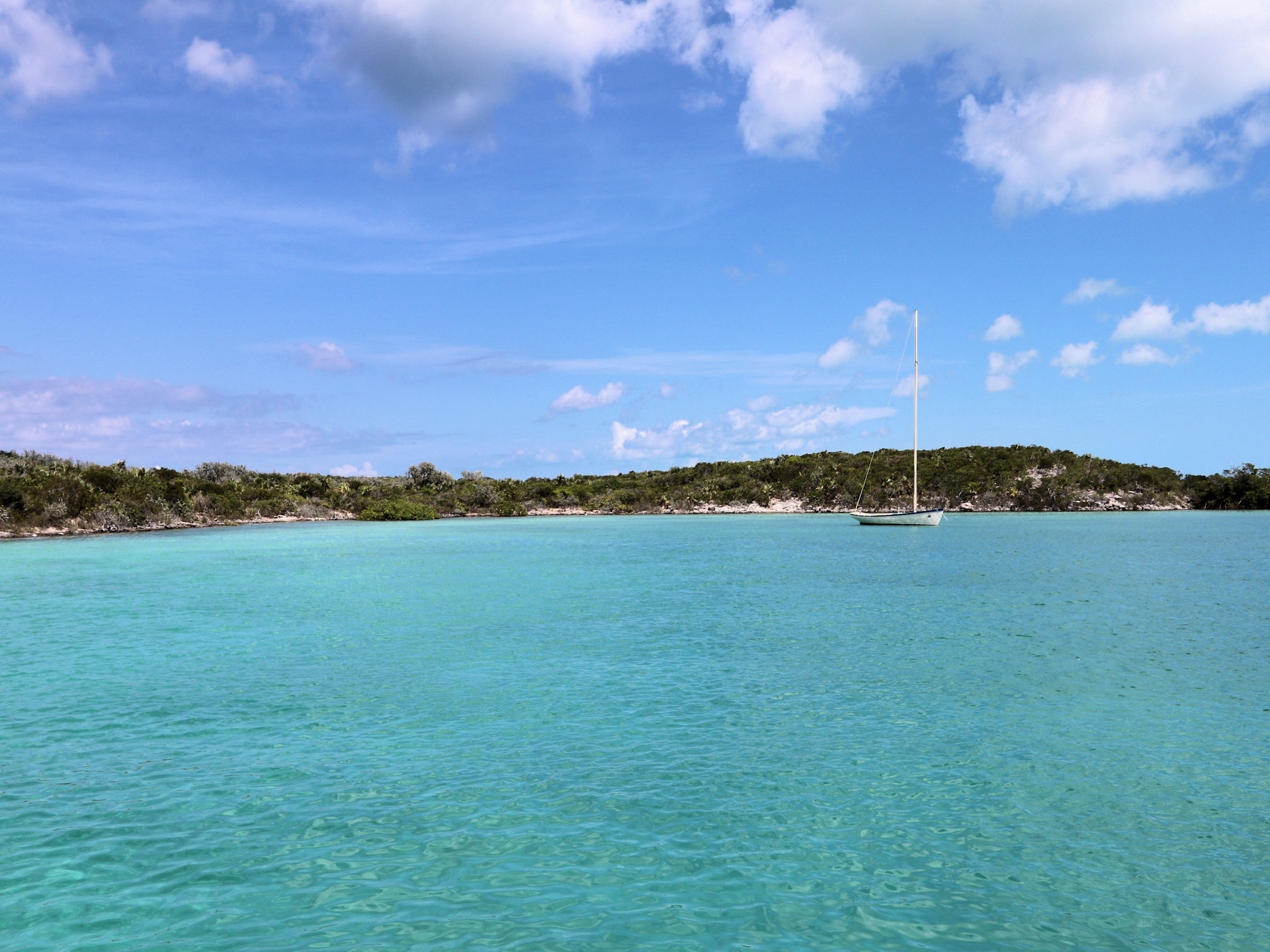 sailboat in the bay.jpg