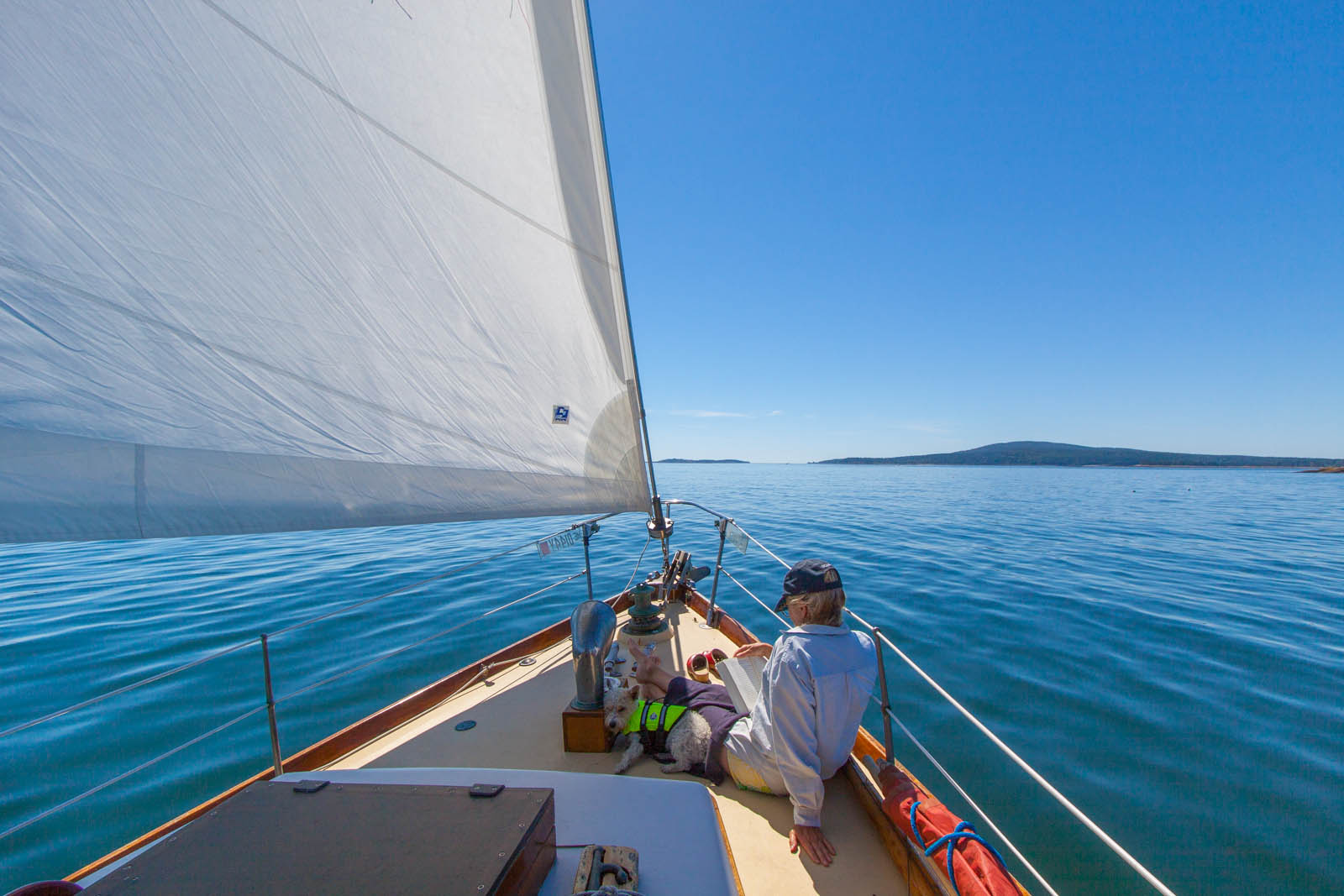 Sailing  (1 of 1).jpg