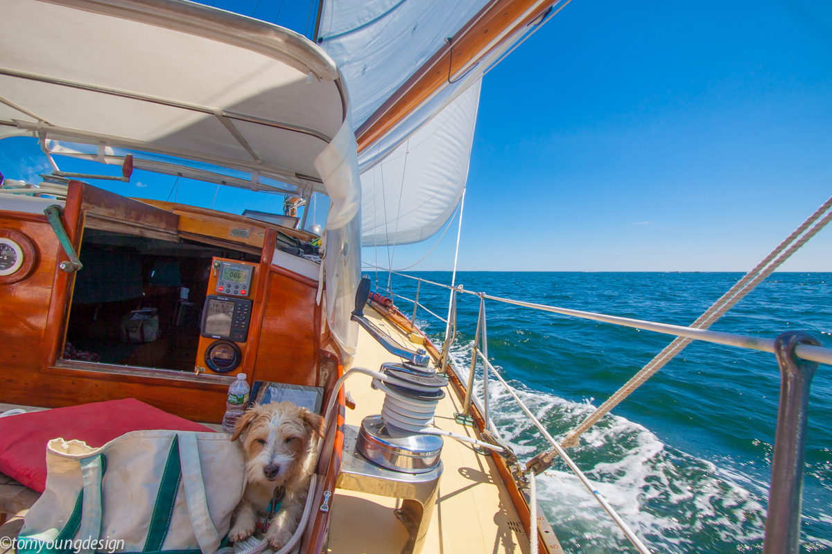 Sailing for Sequin.jpg