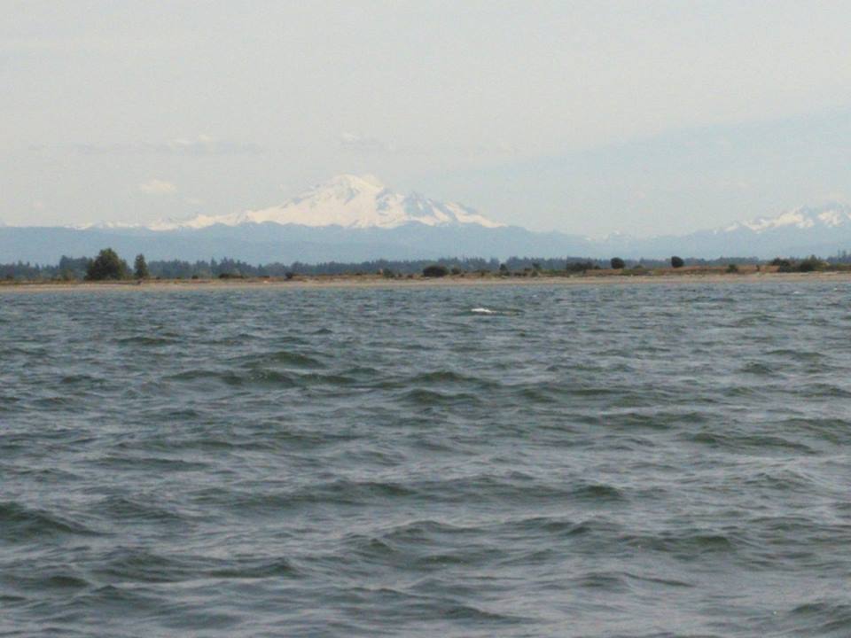 sailing6.jpg