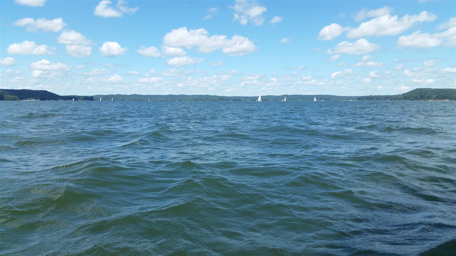 sails everywhere (Large).jpg