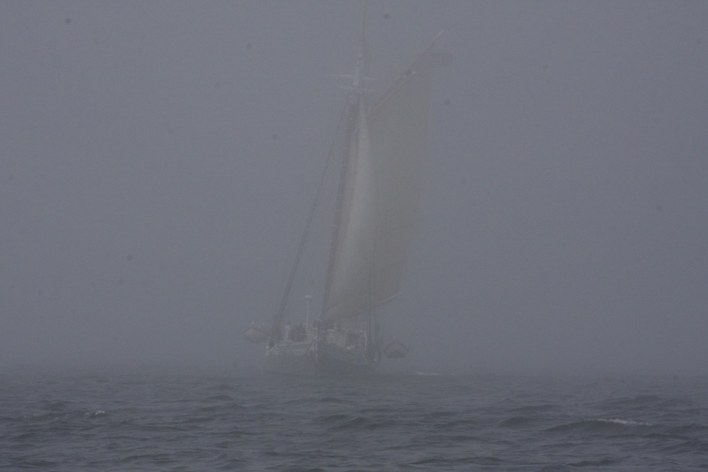 Schooner bow.jpg