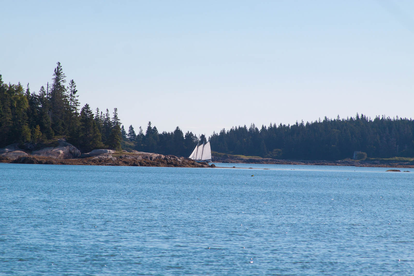 Schooner Seal Bay exit (1 of 1).jpg