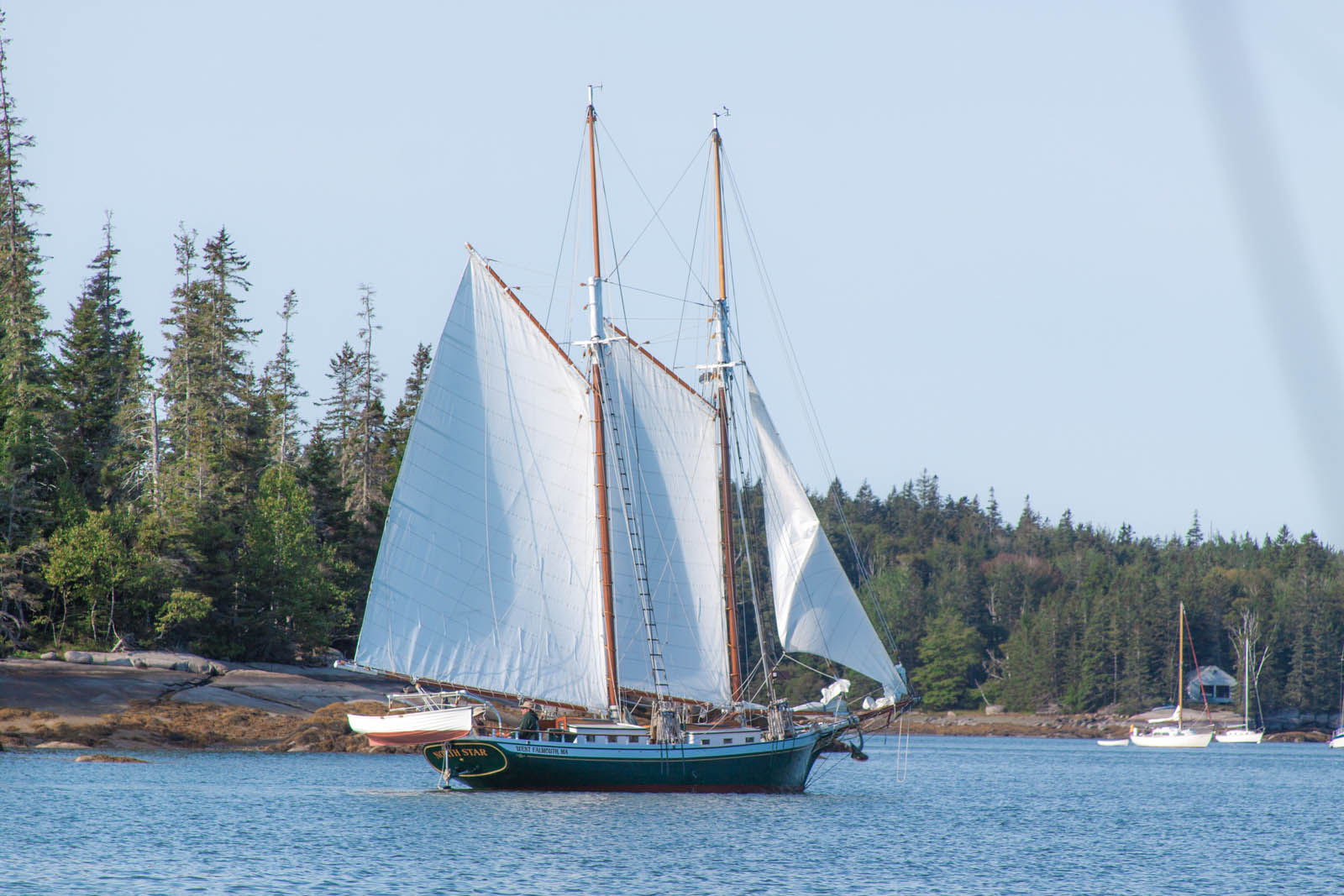 Schooner Seal Bay - under sail (1 of 1).jpg