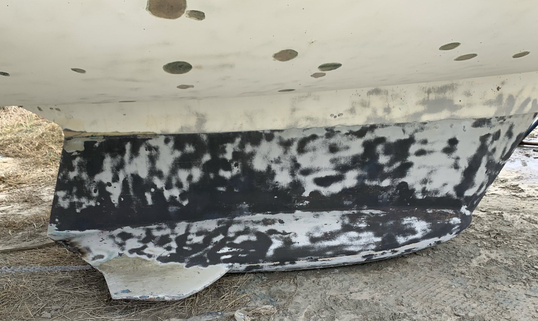Screenshot 2023-07-26 at 9.46.05 AM.png