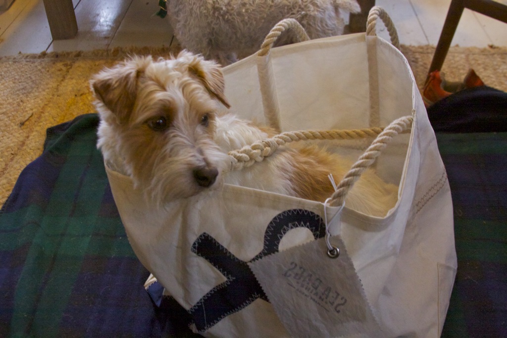 Sea Bag .jpg