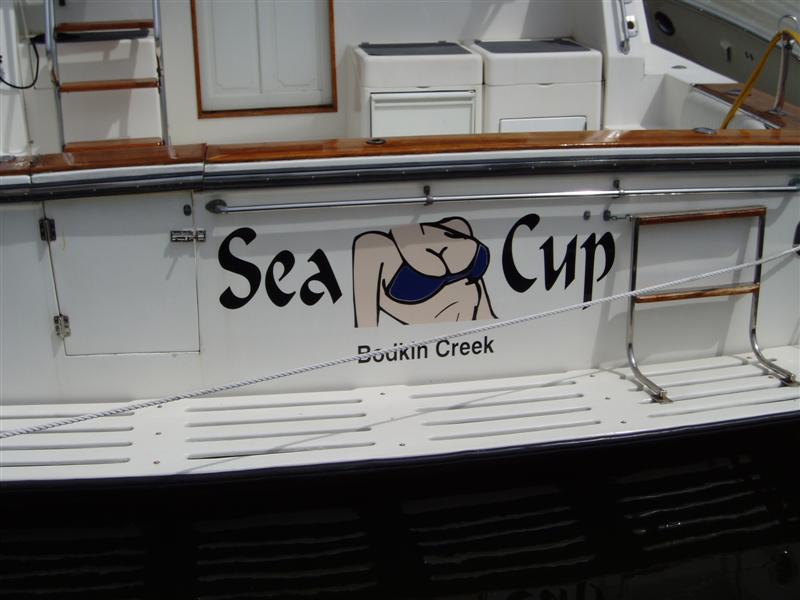 Sea Cup (Medium).jpg
