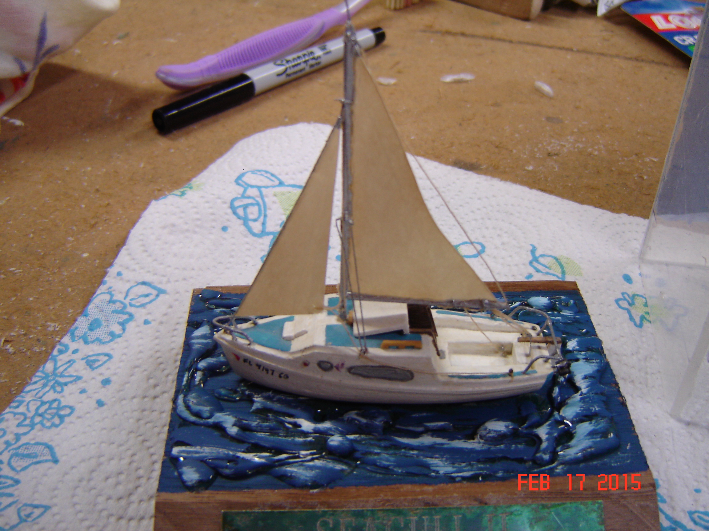 Seagull 2 model case project (3).JPG