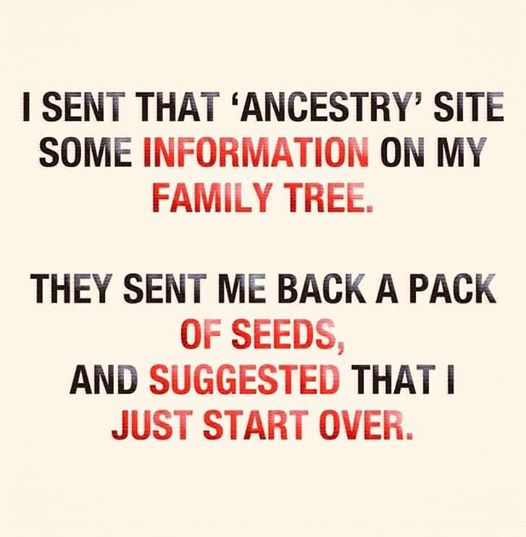 seeds.jpg