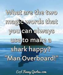 shark.jpg