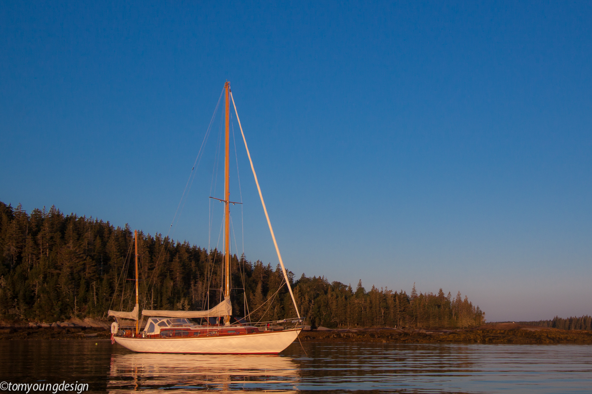 Shivers Island Christmas dawn_.jpg