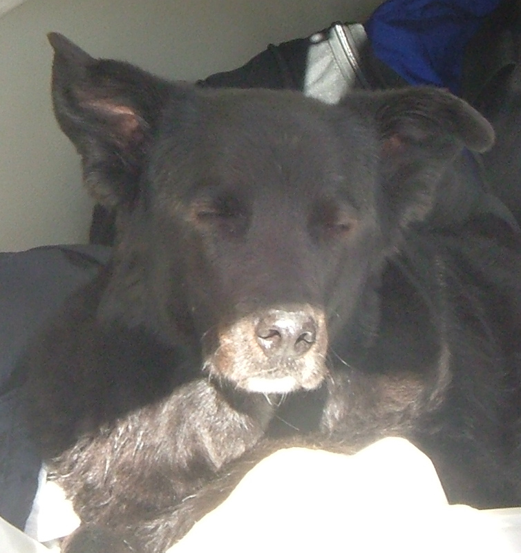 SleepyBill.jpg