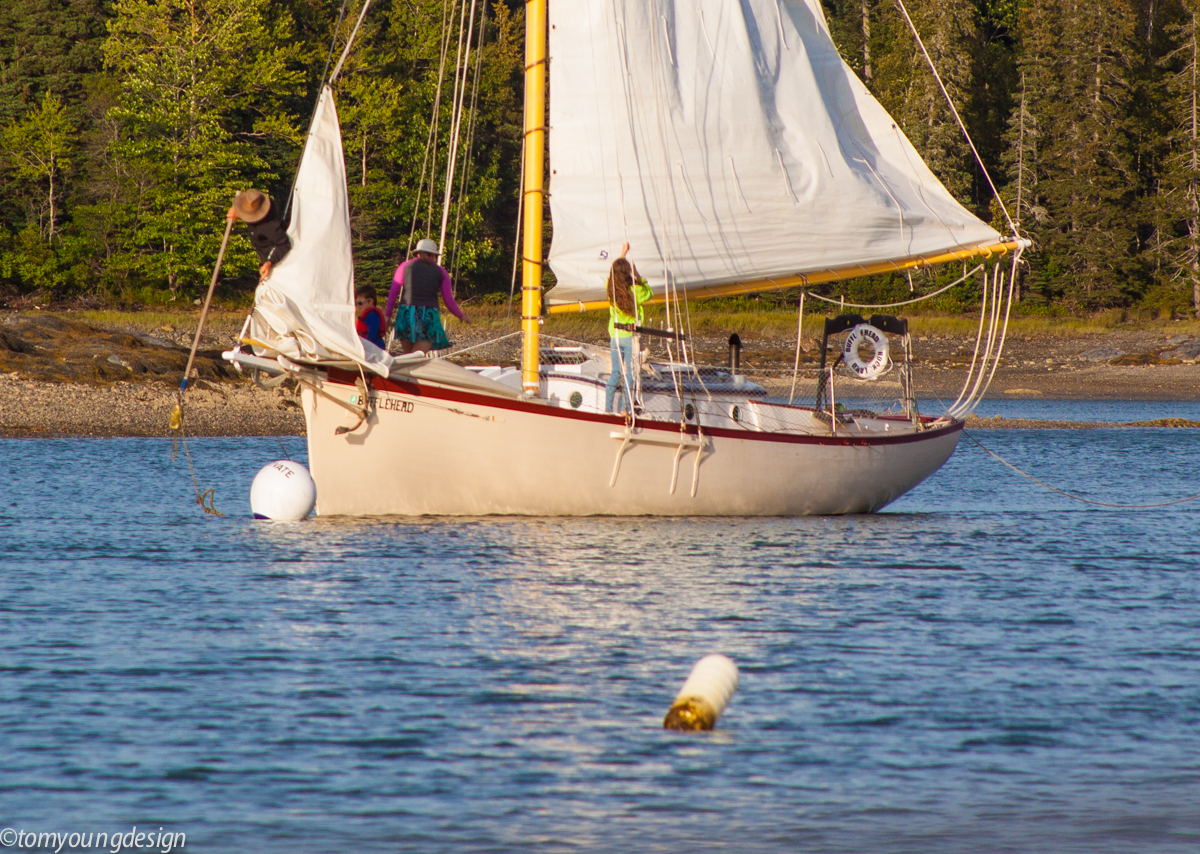 Snagging the mooring._.jpg
