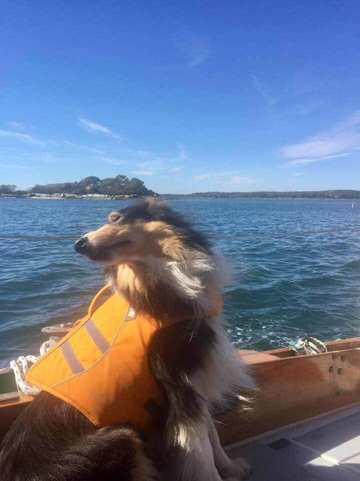 Sniffs.jpg