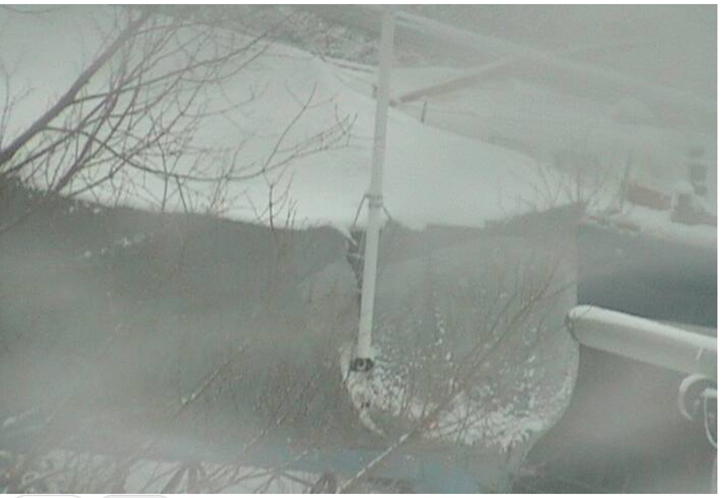 Snow-April 10.jpg