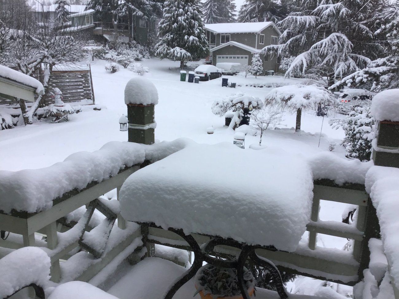 Snow201913.jpg