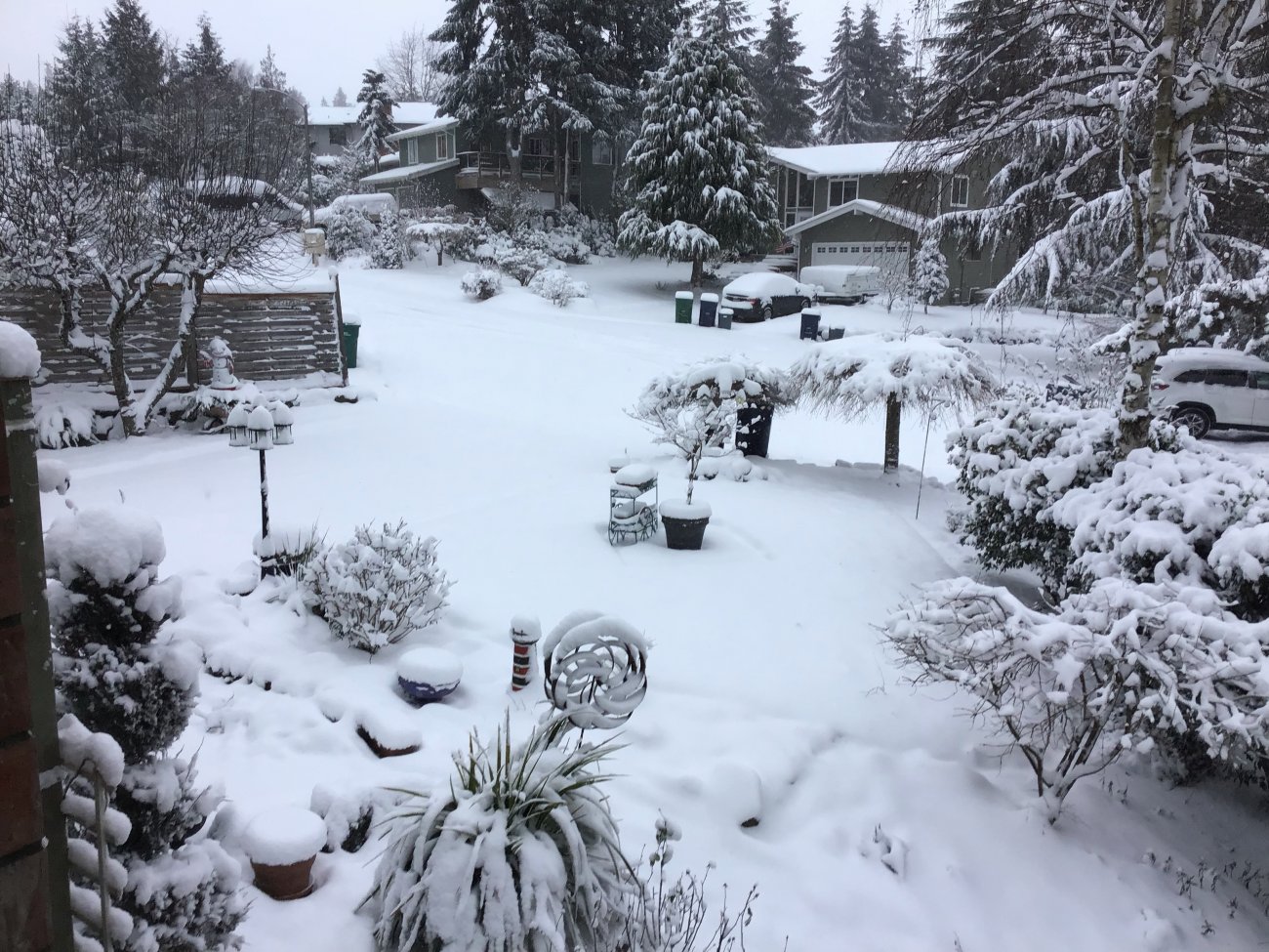 Snow201914.jpg