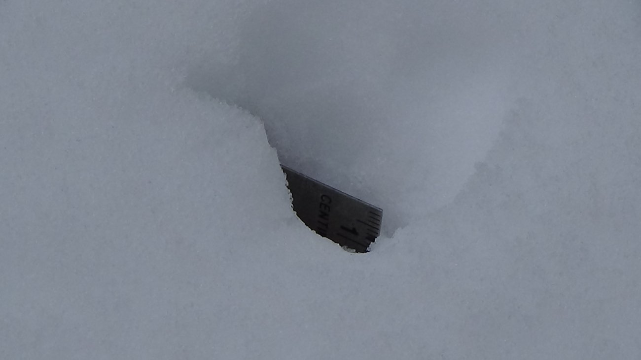 Snow201937.JPG