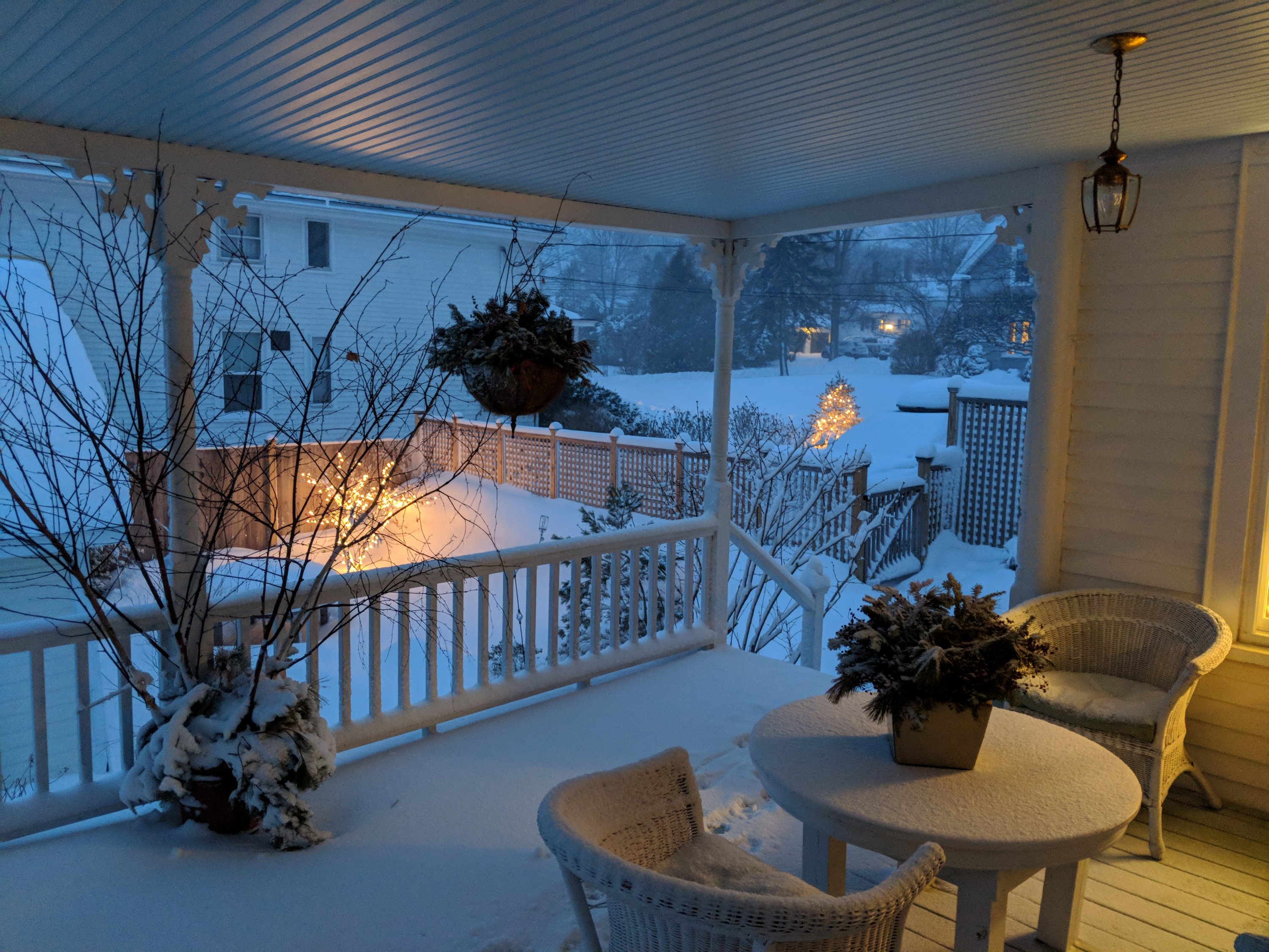 snowy1.jpg