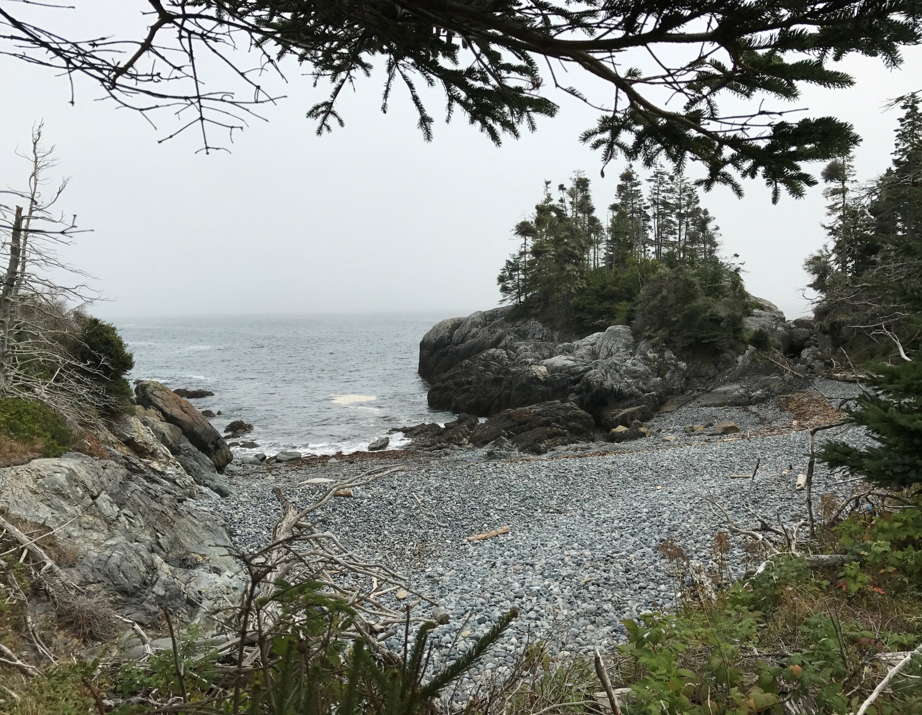 SqeakerCove.jpg