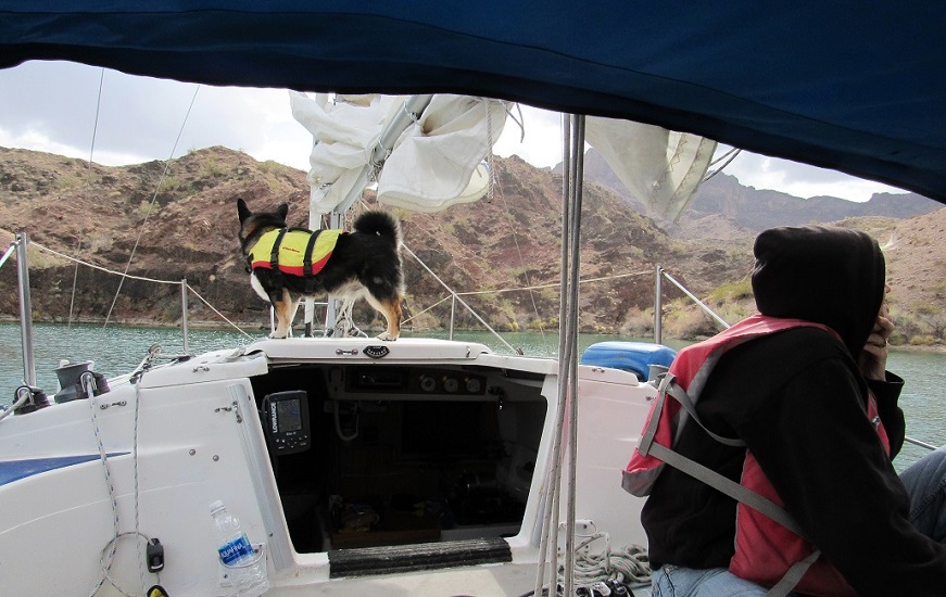 steamboat_21s.jpg