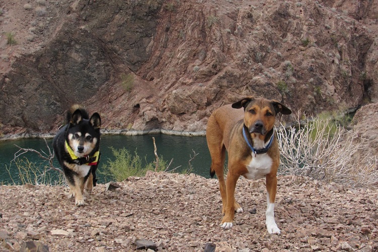 steamboat_26s.jpg