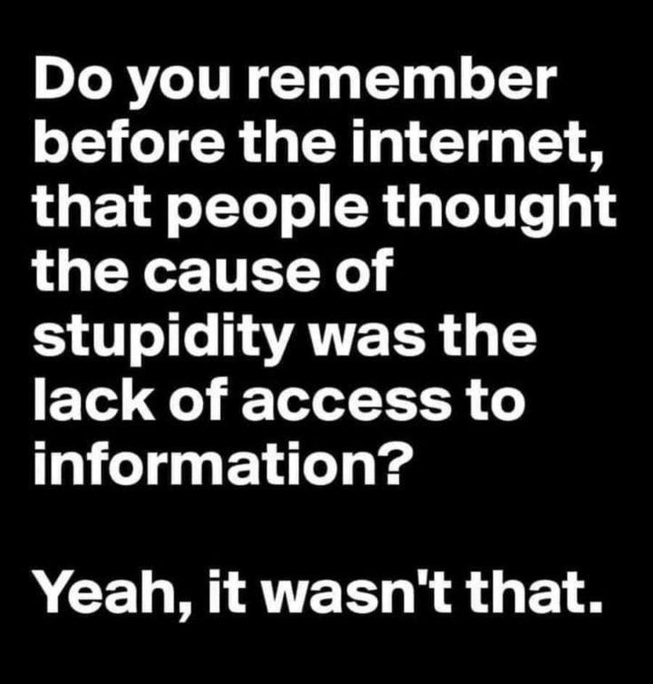 stupid.jpeg