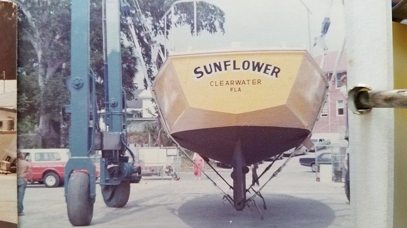 SunflowerLaunching.jpg