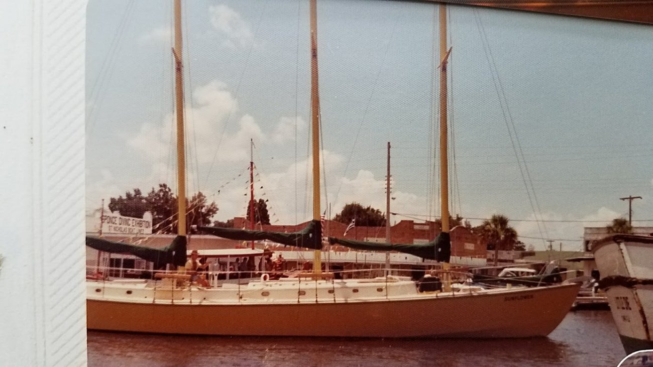 SunflowerTarponSprings.jpg