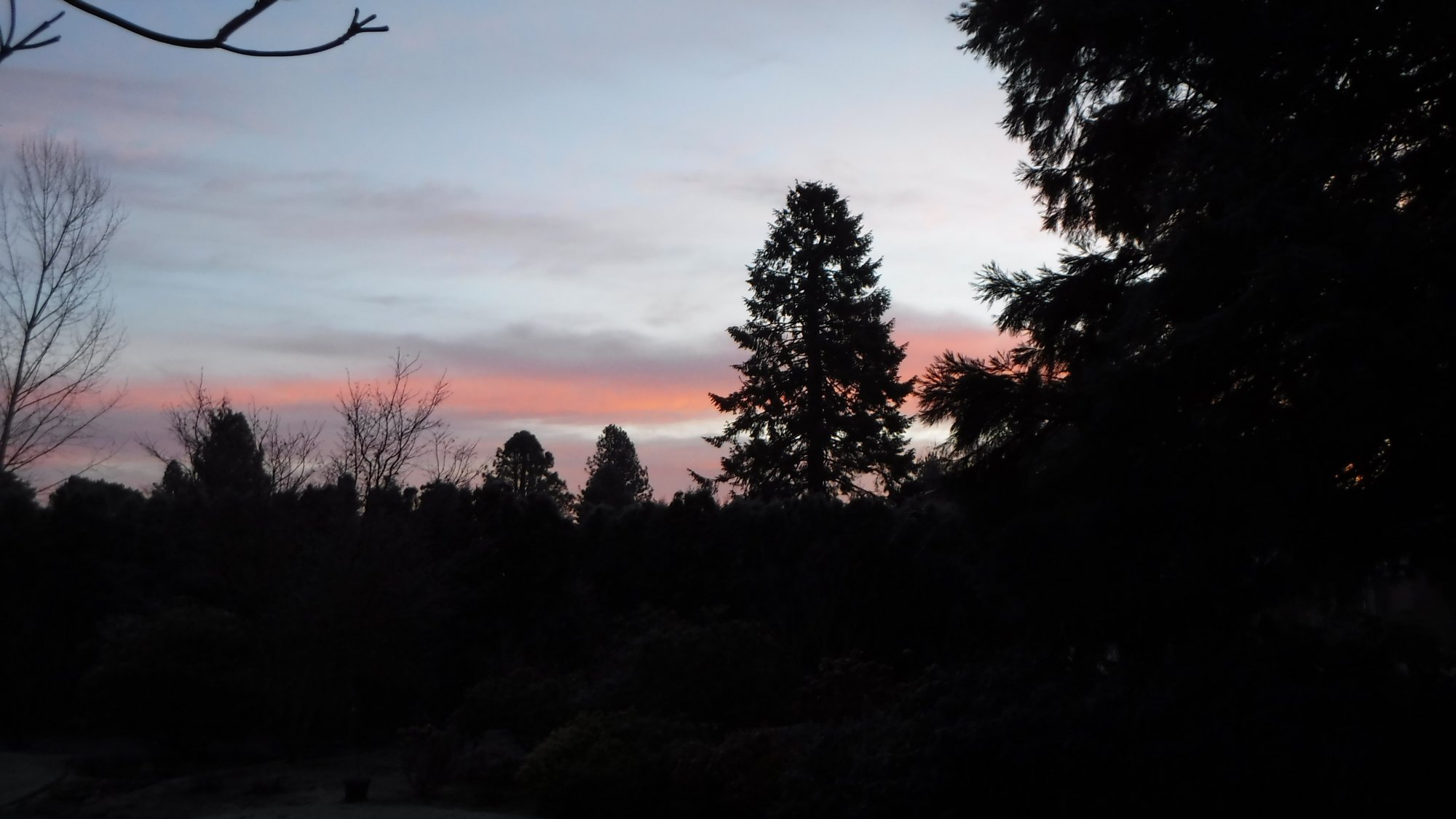 Sunrise Sky.jpg
