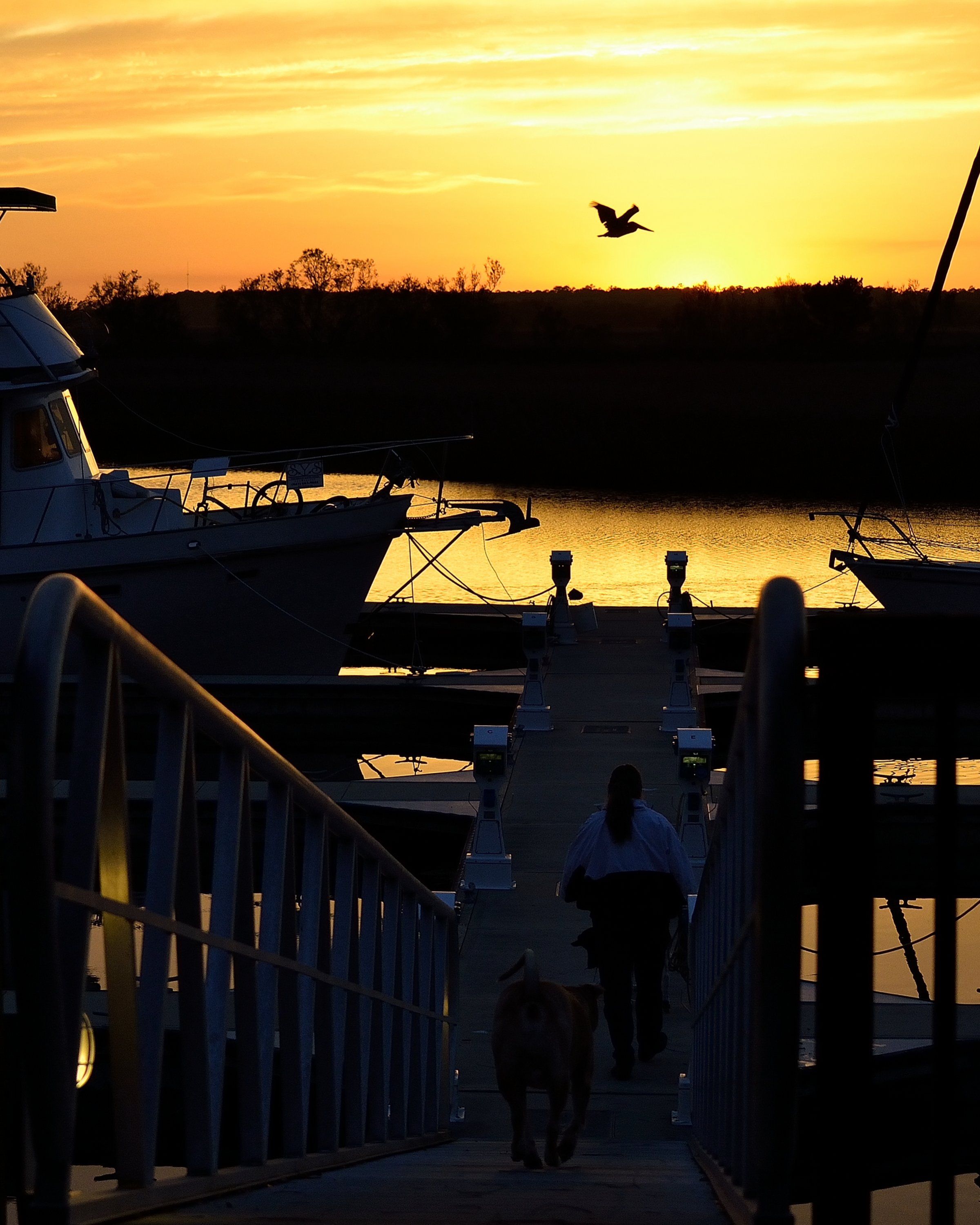 Sunset_3398.JPG