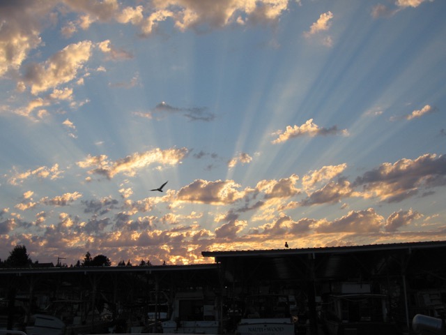 sunsky.jpg