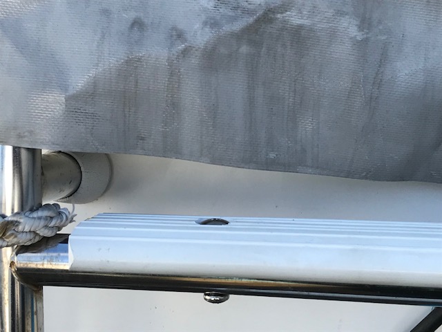 Swim Ladder 1.jpg