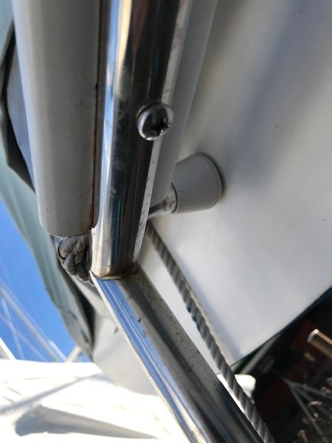 Swim Ladder 3.jpg