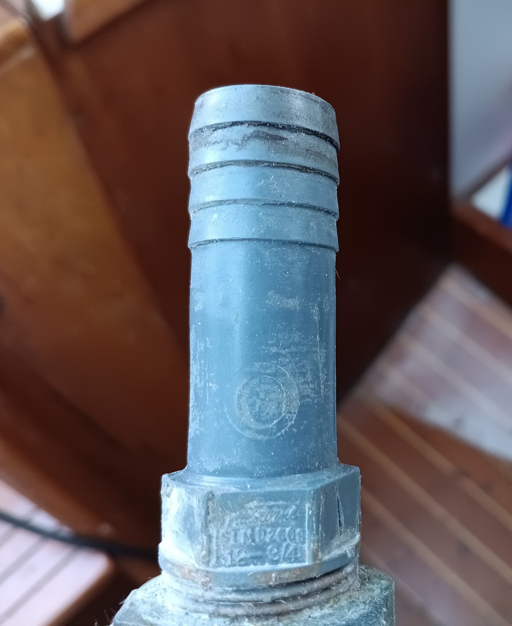 Tailpiece.jpg
