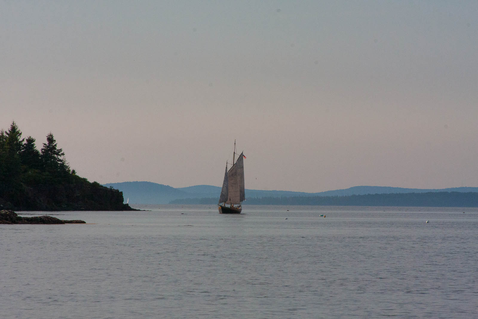 Tancook whaler 1 (1 of 1).jpg