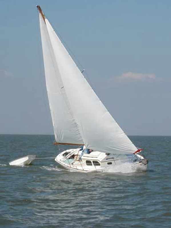 Tehani-Oct-29-cropped.jpg