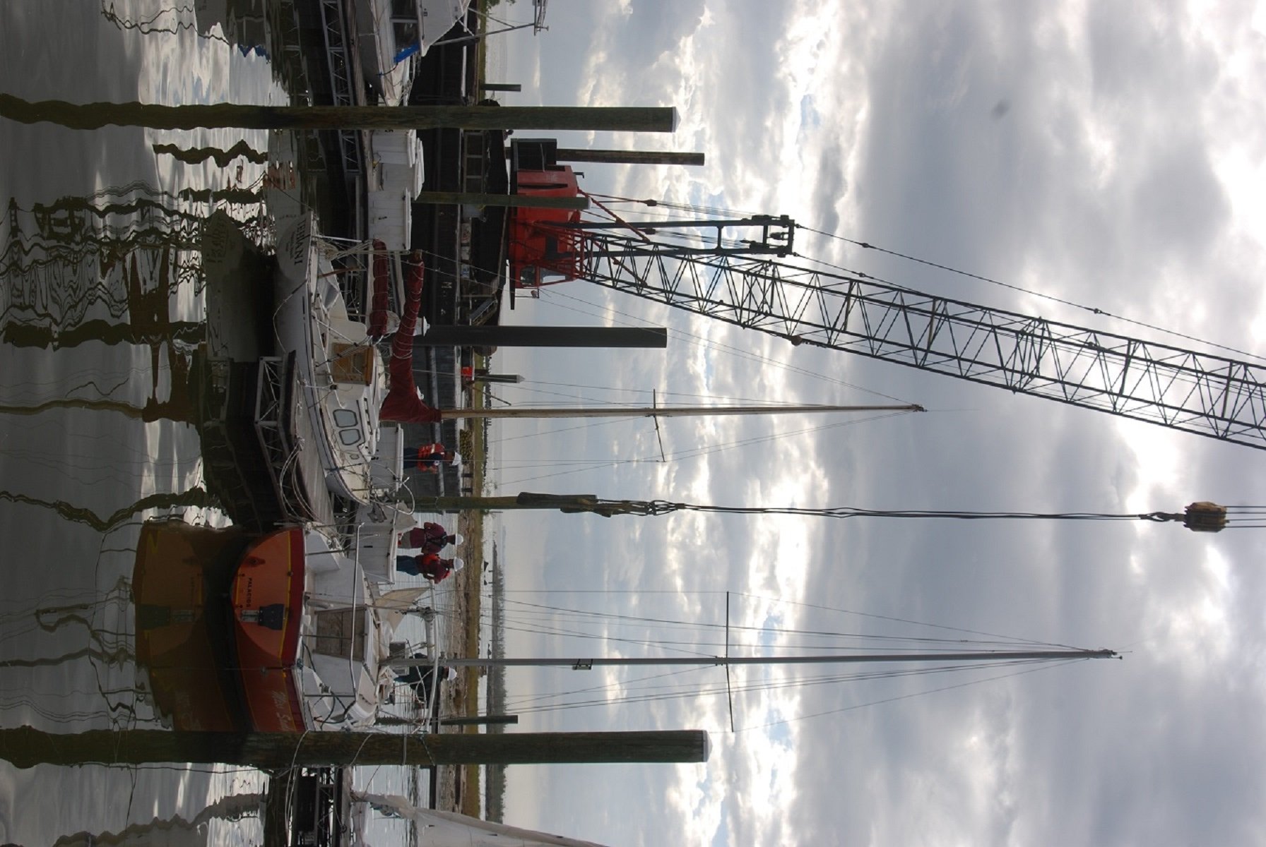 tehani with crane.jpg