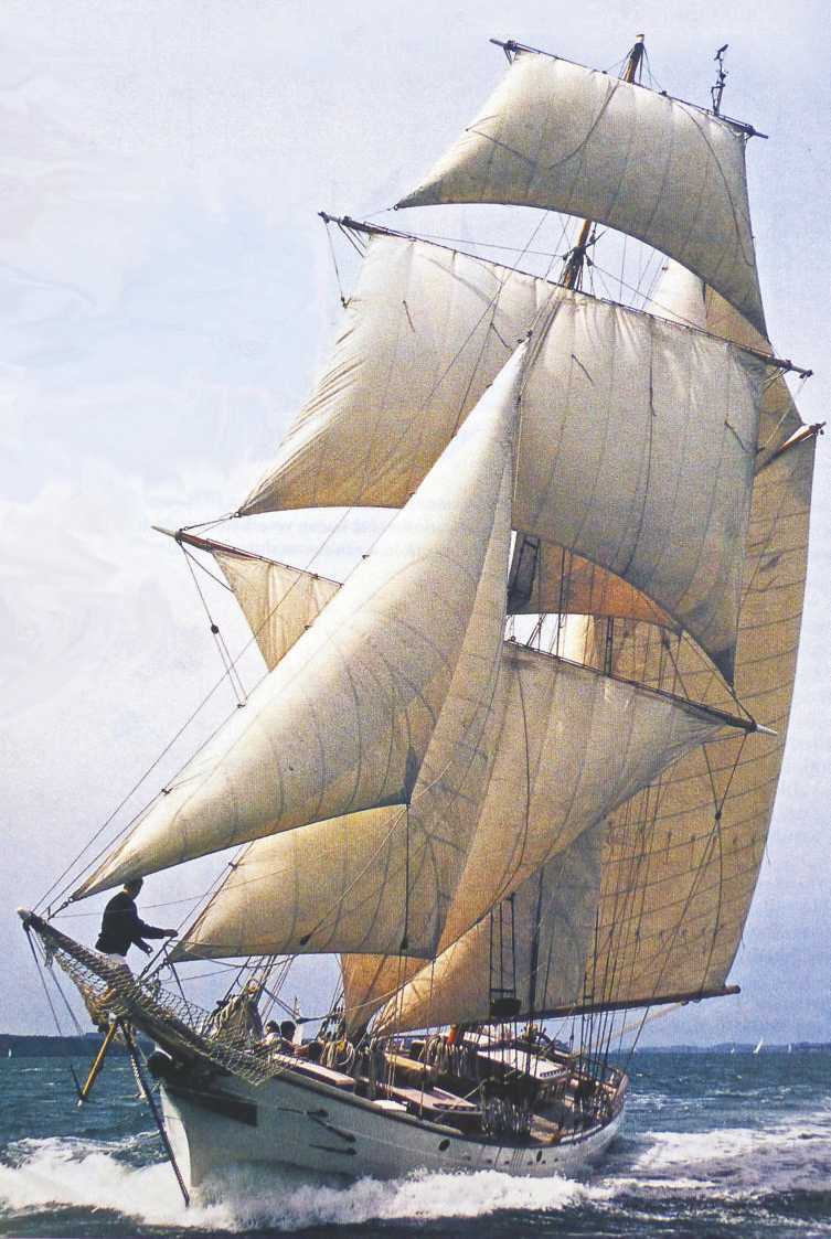 The-Black-Pearl.jpg