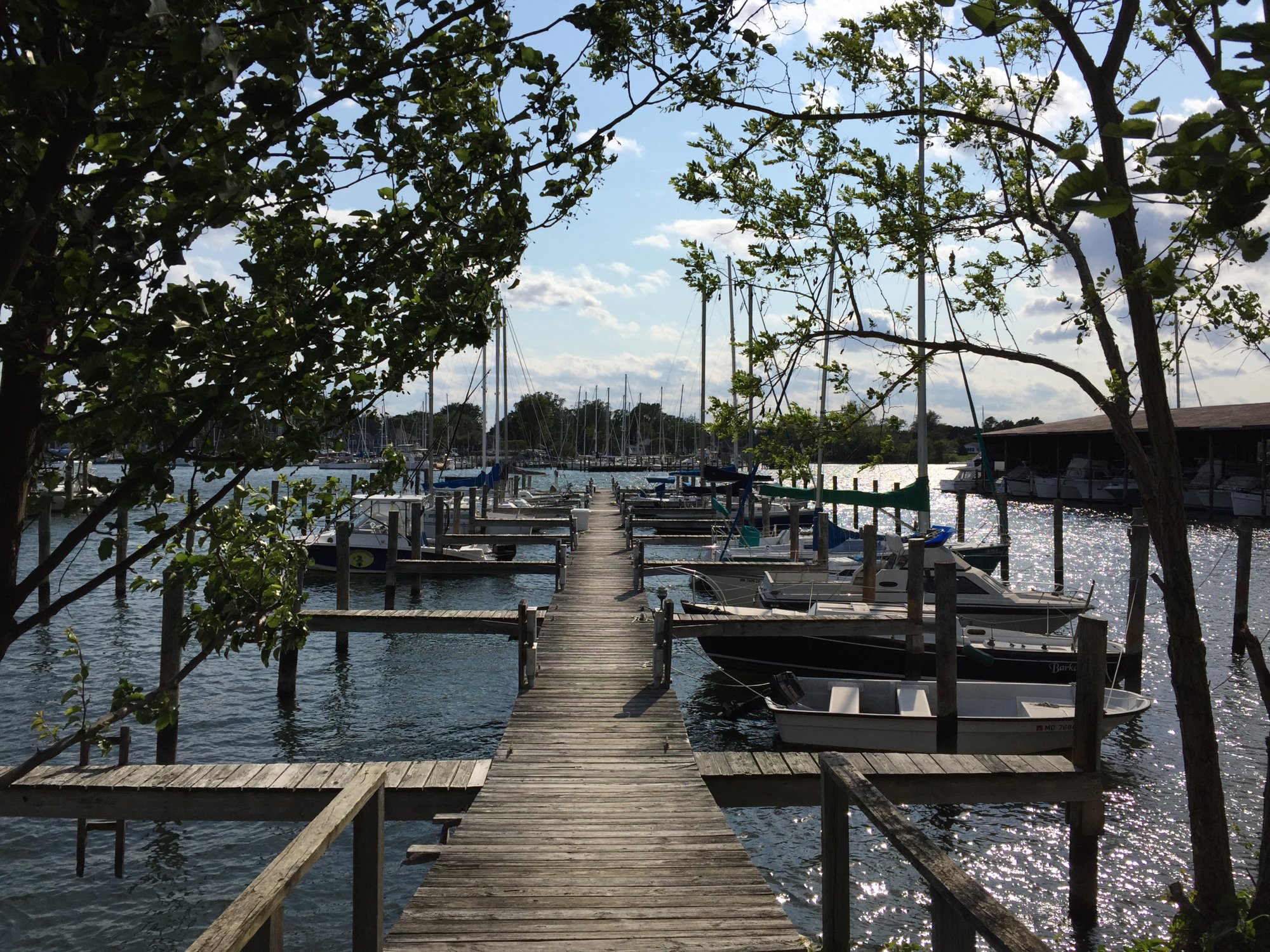 The_Dock.jpg