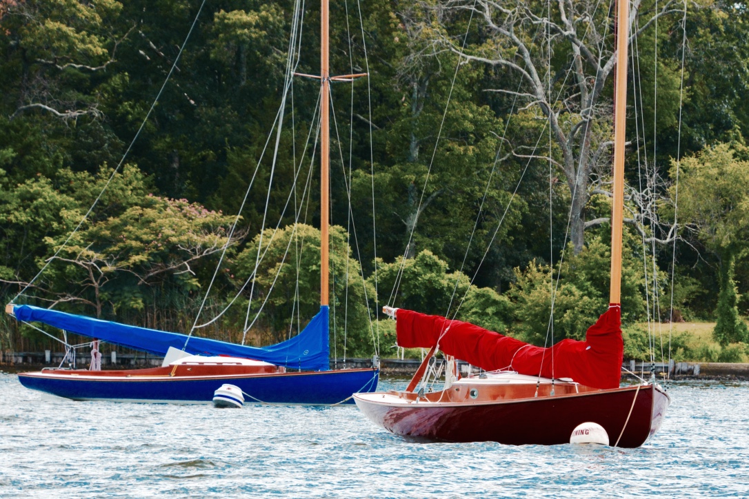 thumb_DSC_4032_1024.jpg