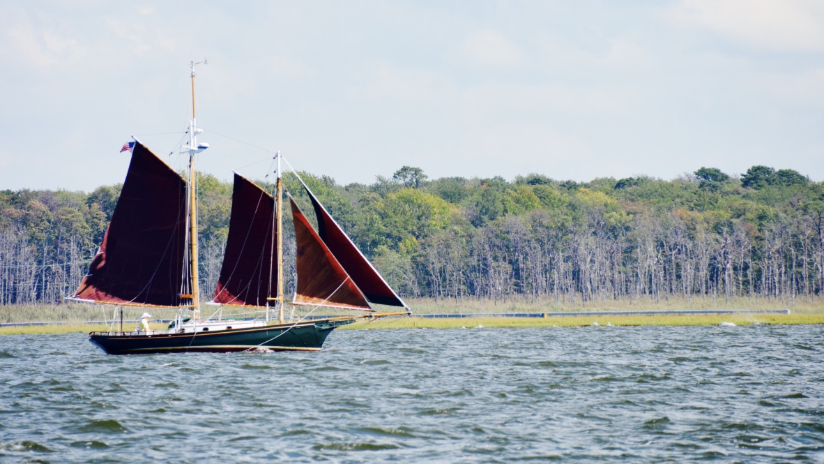 thumb_DSC_6747_1024.jpg
