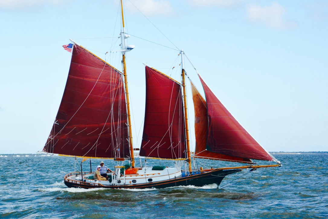 thumb_DSC_6923_1024.jpg