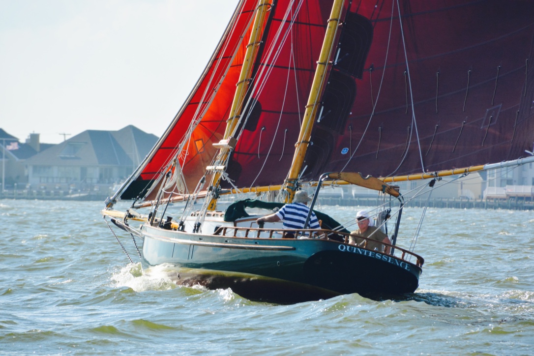 thumb_DSC_6993_1024.jpg