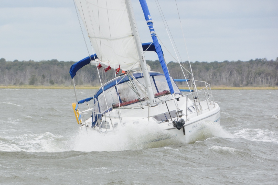 thumb_DSC_7123_1024 2.jpg