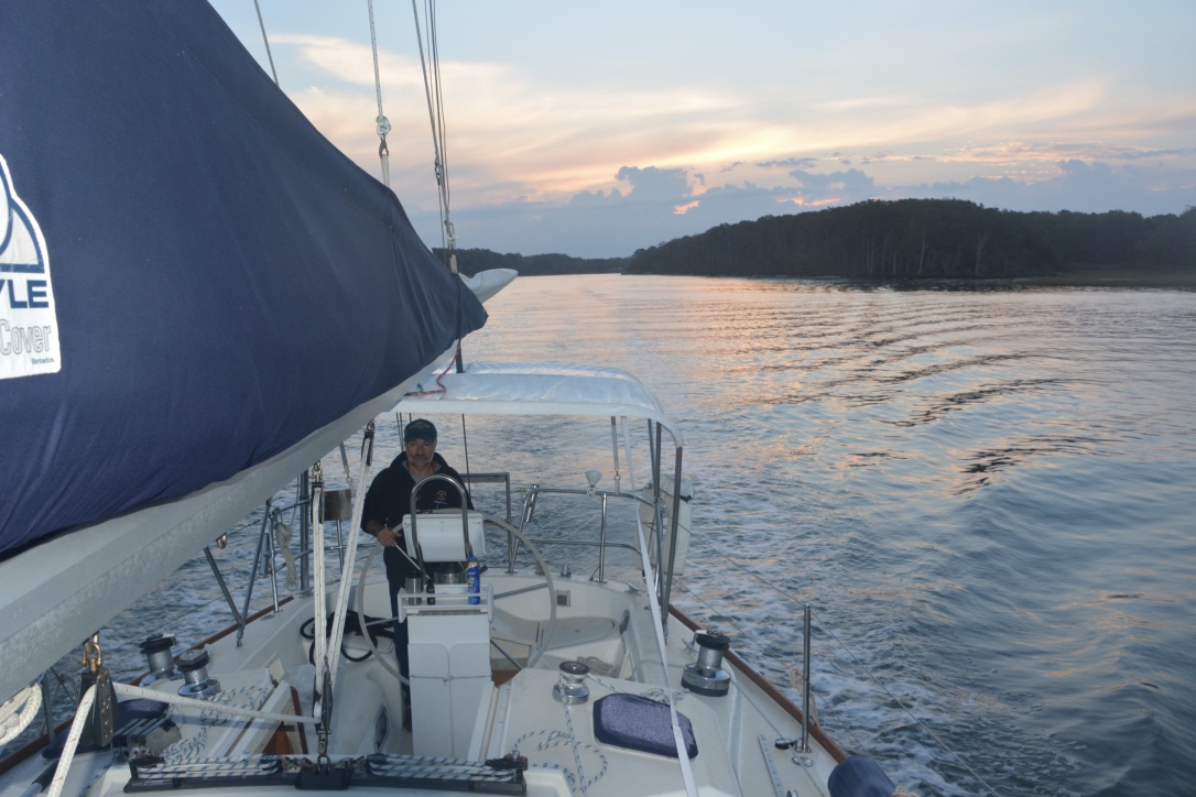 thumb_DSC_7485_1024 2.jpg