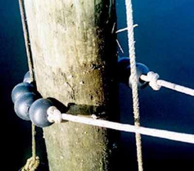 tideminder balls.jpg