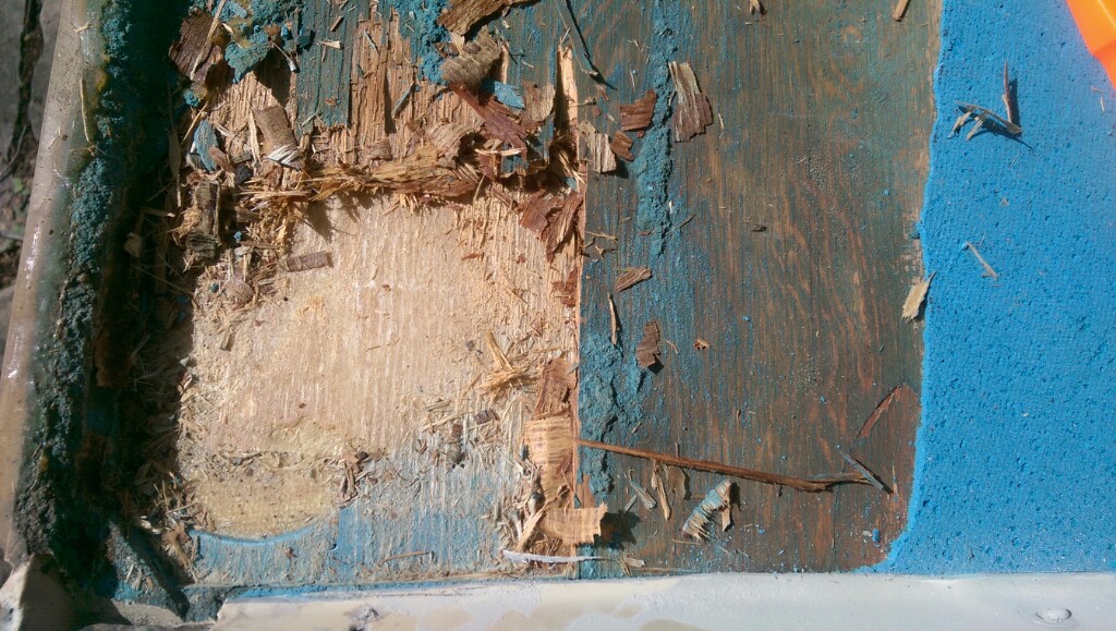 tmp_15749-IMAG0348~012071690773.jpg