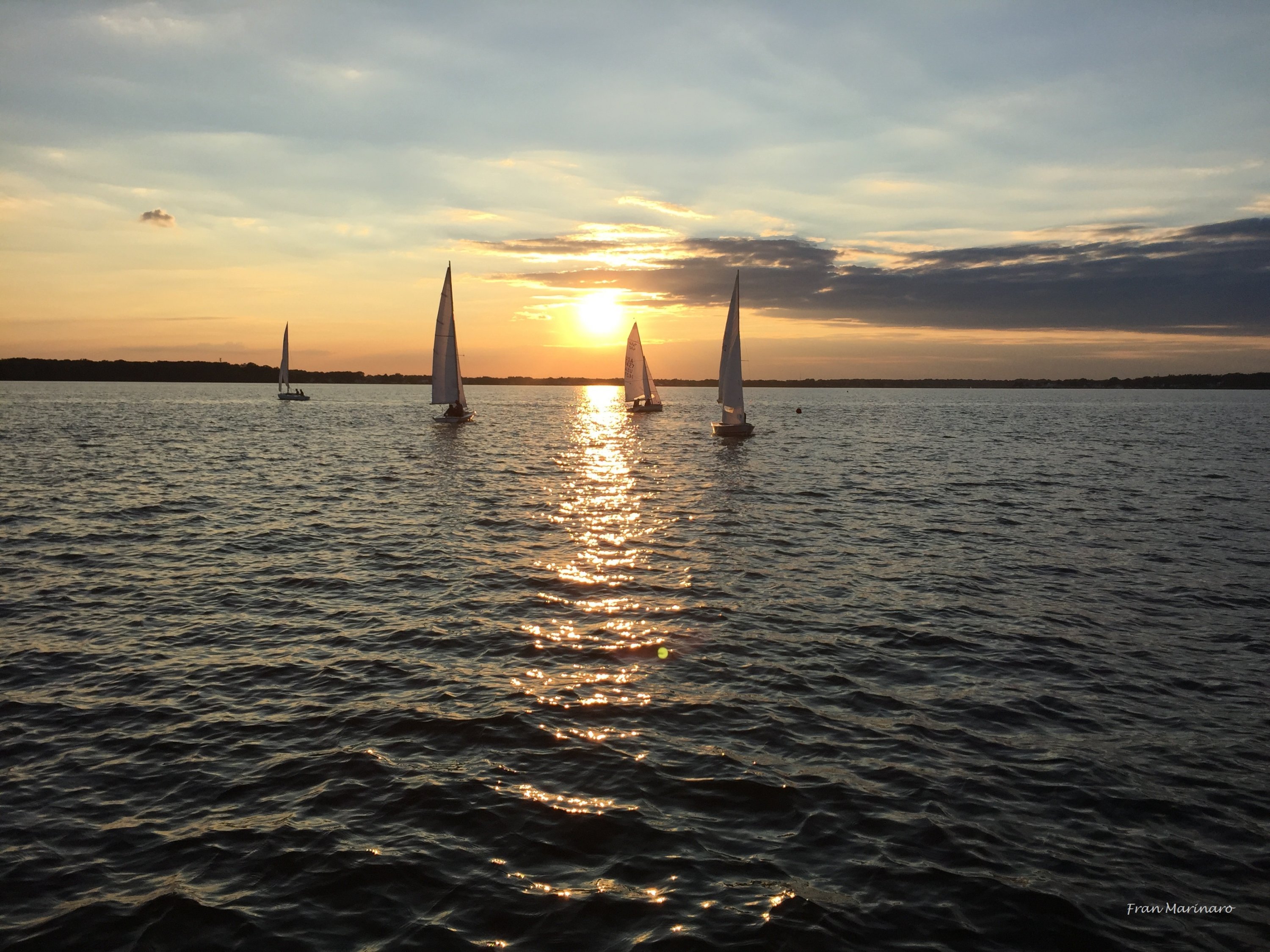 TNR 20150827 1920 IMG_1176N.jpg