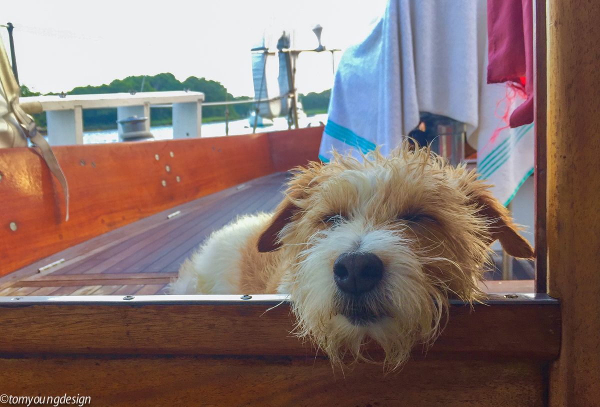 tommy hadley harbor.jpg
